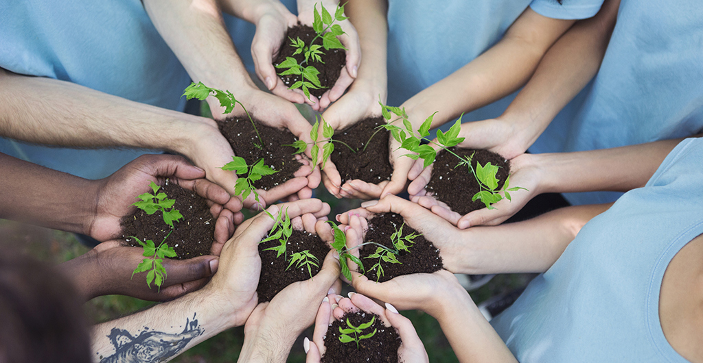 Non-profit Organizations